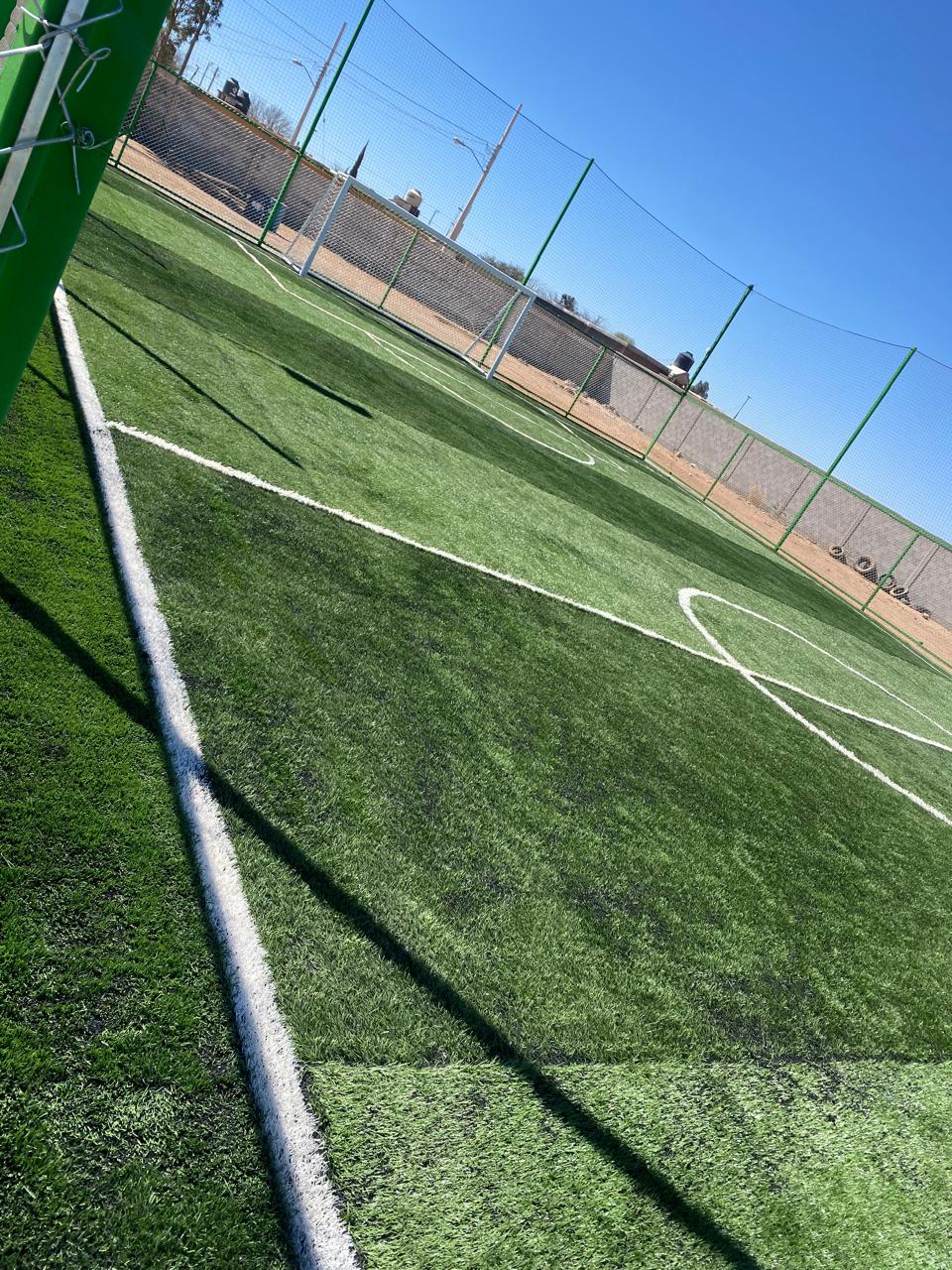 Pasto sintético